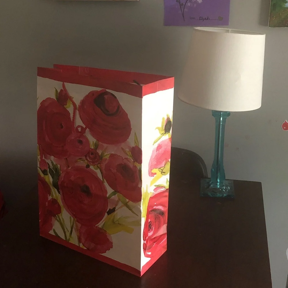 🛍️ Floral Gift Bag with Rope Handles